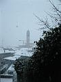 IMG_4630