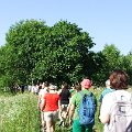 DSCF6139