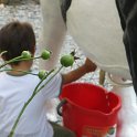 IMG_9217