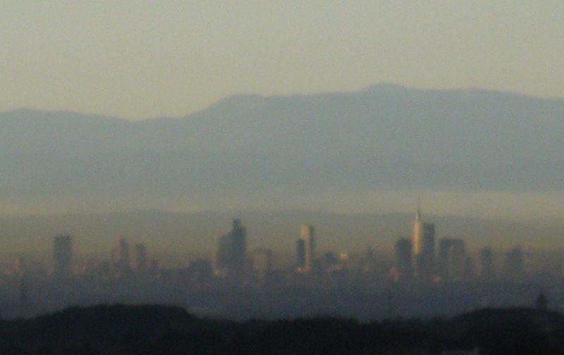 Image1