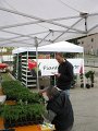 IMG_8285