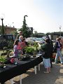 IMG_8301