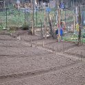 IMG_5576