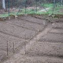 IMG_5580