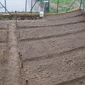 IMG_5581