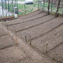 IMG_5582