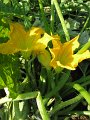 IMG_6068