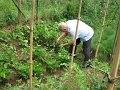 IMG_5826