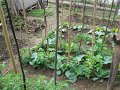 IMG_5830