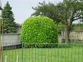 IMG_5846