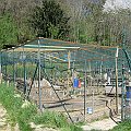 IMG_8259