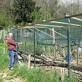 IMG_8262