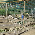 IMG_8266