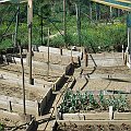 IMG_8269