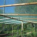 IMG_8270
