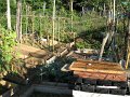 IMG_7107