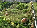 IMG_7115