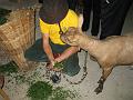 IMG 3153