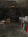 IMG 3168
