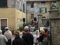 IMG 3519